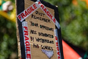 Protest sign that says "fragile - just remember your oppressors are intimidated by watermelons and scarves".