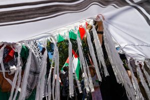 Under the keffiyeh at a Melbourne ceasefire now rally.