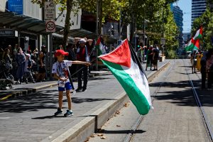 Boy flies the Palestinian flag.